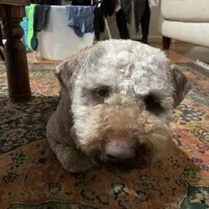 Meet your Posher, Chantal